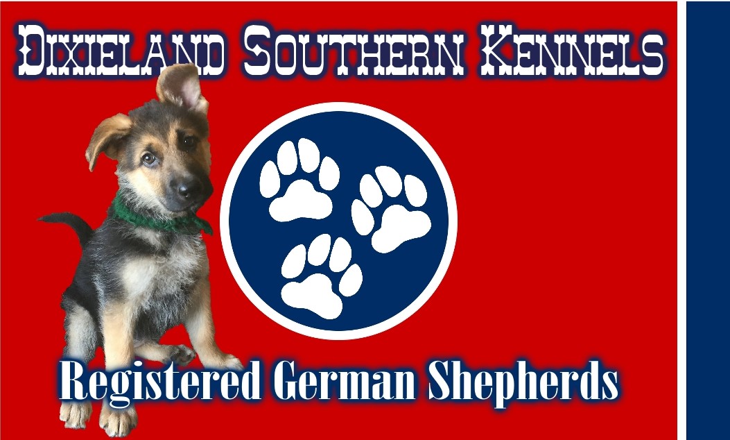 Dixieland Southern Kennels